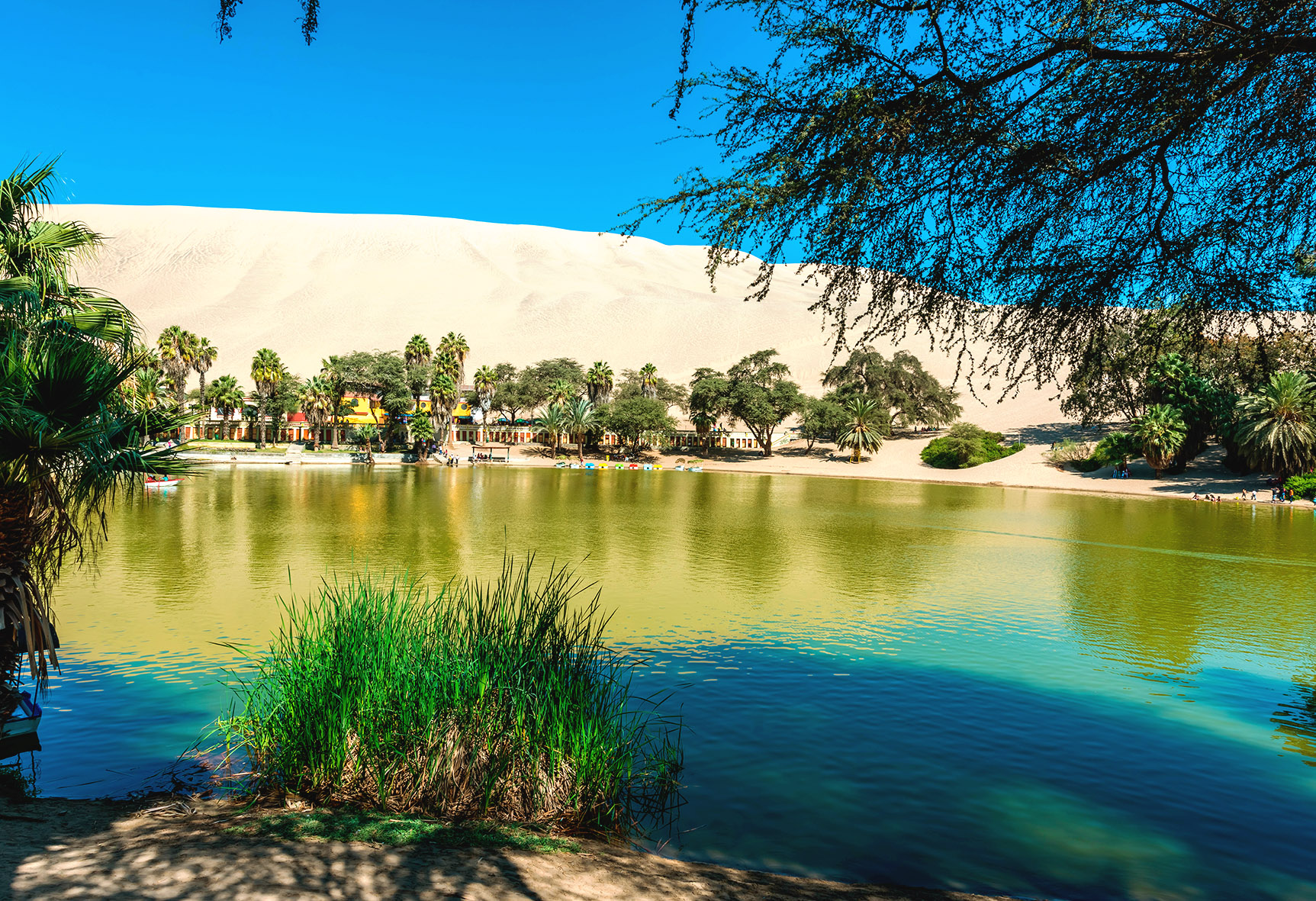 Discover the Huacachina Oasis-Natural Oasis in Peru